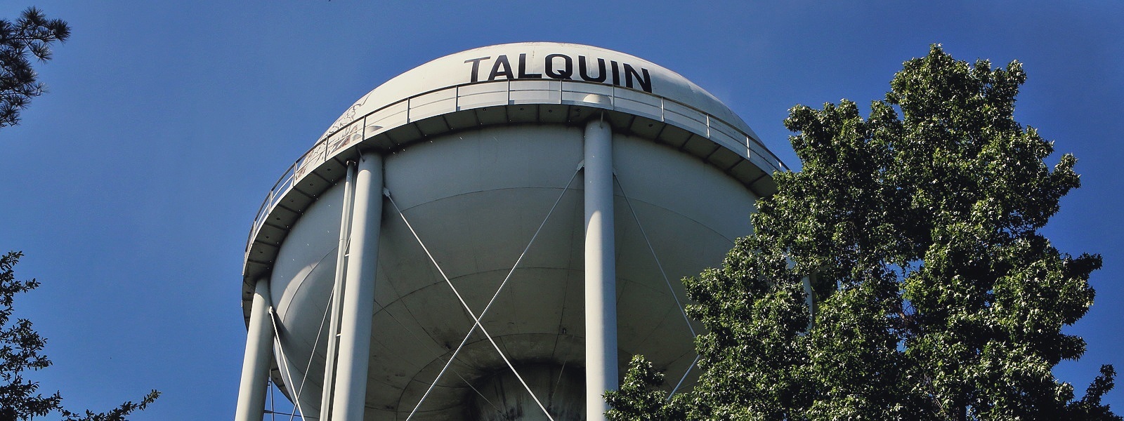 2025 Talk with Talquin-Member Update Events